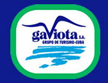 Gaviota